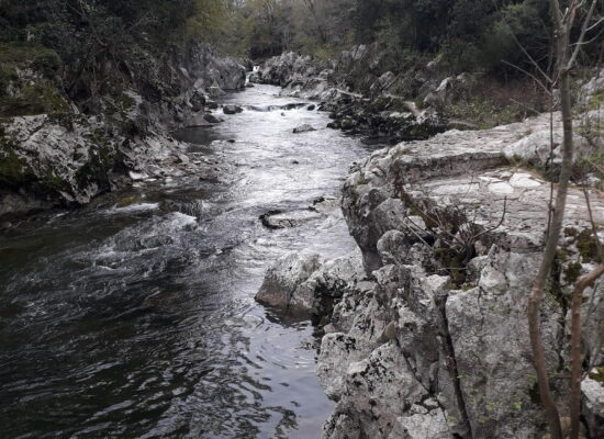 Senda Fluvial del río Pas, Puente Viesgo
