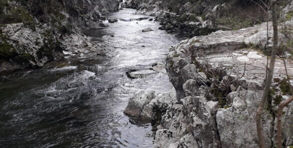 Senda Fluvial del río Pas, Puente Viesgo